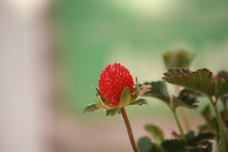 20140331a.jpg