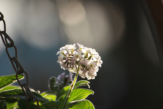 20140331c.jpg