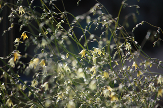 20140402b.jpg