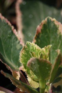 20140404o.jpg