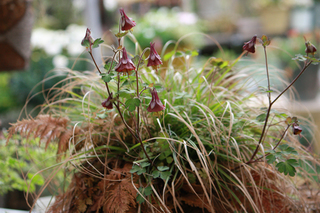 20140404q.jpg