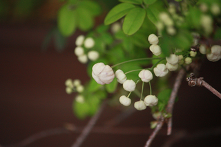 20140409c.jpg