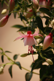 20140410b.jpg