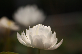 20140410c.jpg