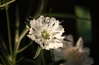 20140414d.jpg