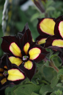 20140416c.jpg