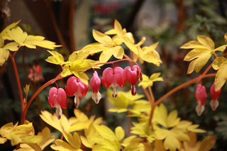 20140419c.jpg