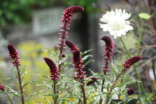 20140421b.jpg