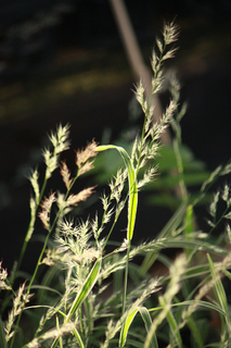 20140724g.jpg