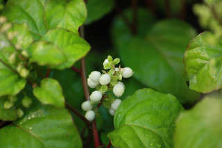 20140727a.jpg