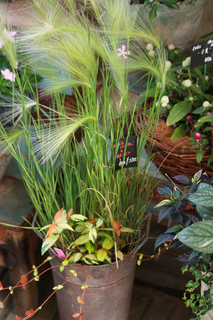 20140727e.jpg