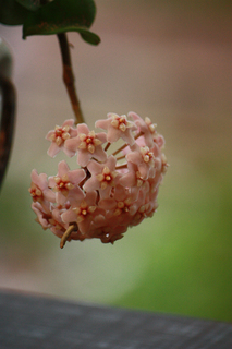 20140811c.jpg
