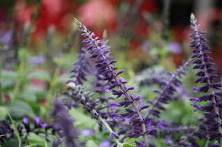 20141004c.jpg