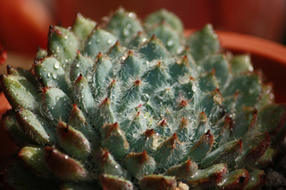 20141012b.jpg