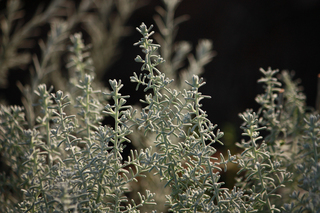 20141016m.jpg