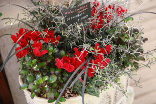20141016r.jpg