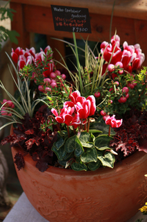 20141018d.jpg