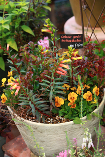 20141020b.jpg