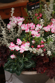 20141020g.jpg