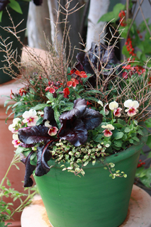 20141023b.jpg