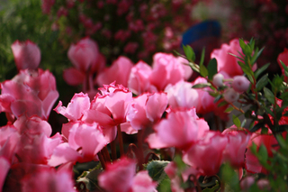 20141023g.jpg