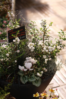 20141026b.jpg