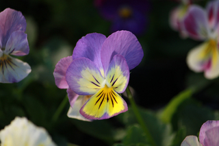 20141030g.jpg