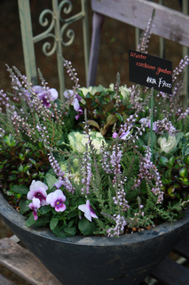 20141104f.jpg