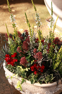 20141127e.jpg