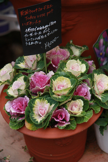 20141213e.jpg