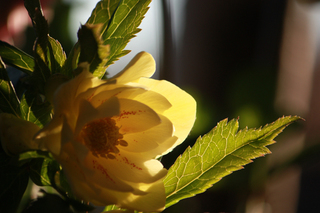 20141231a.jpg