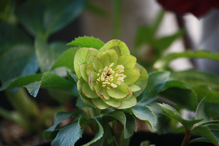 20150103c.jpg