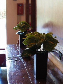 20150728aP1010230.jpg