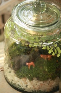 20150729aIMG_8678.jpg