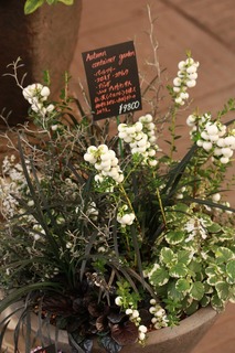 201509121aIMG_9148.jpg