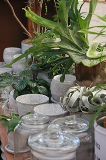 20150918aIMG_9112.jpg