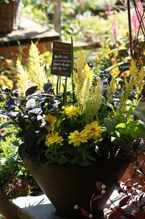 20150919aIMG_9123.jpg