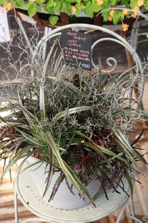 20150919aIMG_9129.jpg