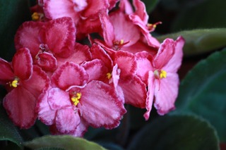 20151002aIMG_9306.jpg
