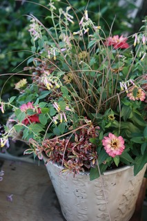 20151003aIMG_9311.jpg