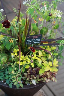 20151003aIMG_9312.jpg