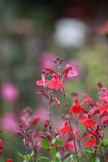 20151005aIMG_9344.jpg