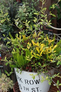 20151014aIMG_9475.jpg
