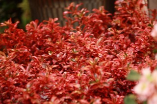 20151028aIMG_9704.jpg