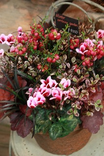 20151028aIMG_9706.jpg