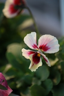 20151030aIMG_9735.jpg