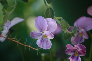 20151103aIMG_9812.jpg