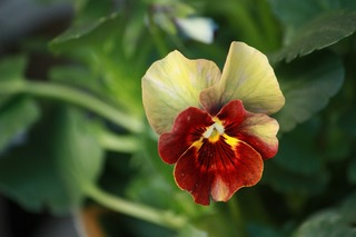 20151128aIMG_0172.jpg