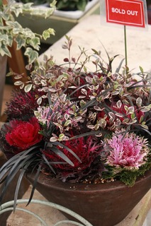 20151128aIMG_0178.jpg