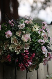 20151128aIMG_0179.jpg